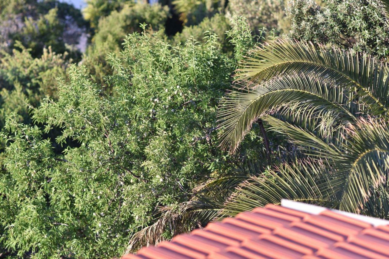 Apartmani Marko Gdinj Εξωτερικό φωτογραφία