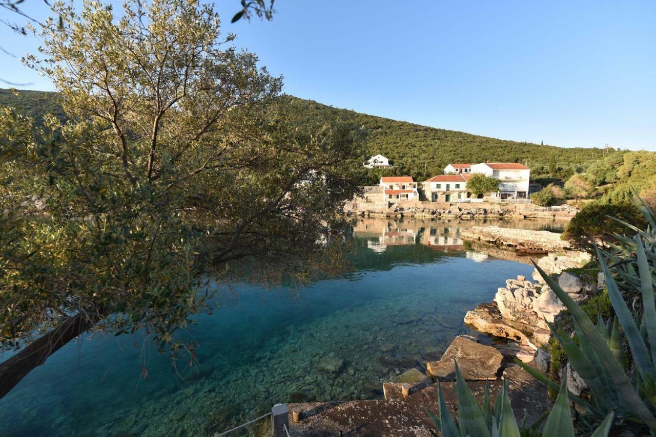 Apartmani Marko Gdinj Εξωτερικό φωτογραφία