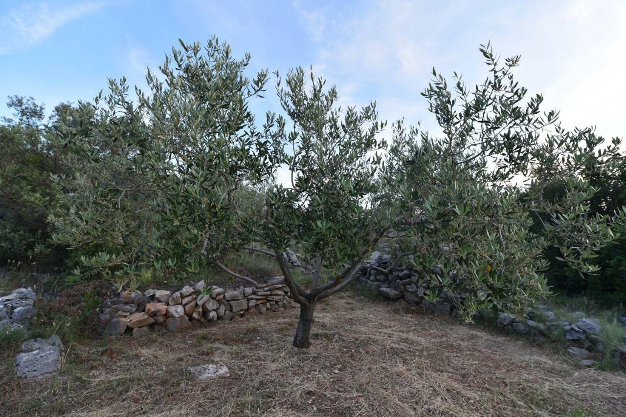 Apartmani Marko Gdinj Εξωτερικό φωτογραφία