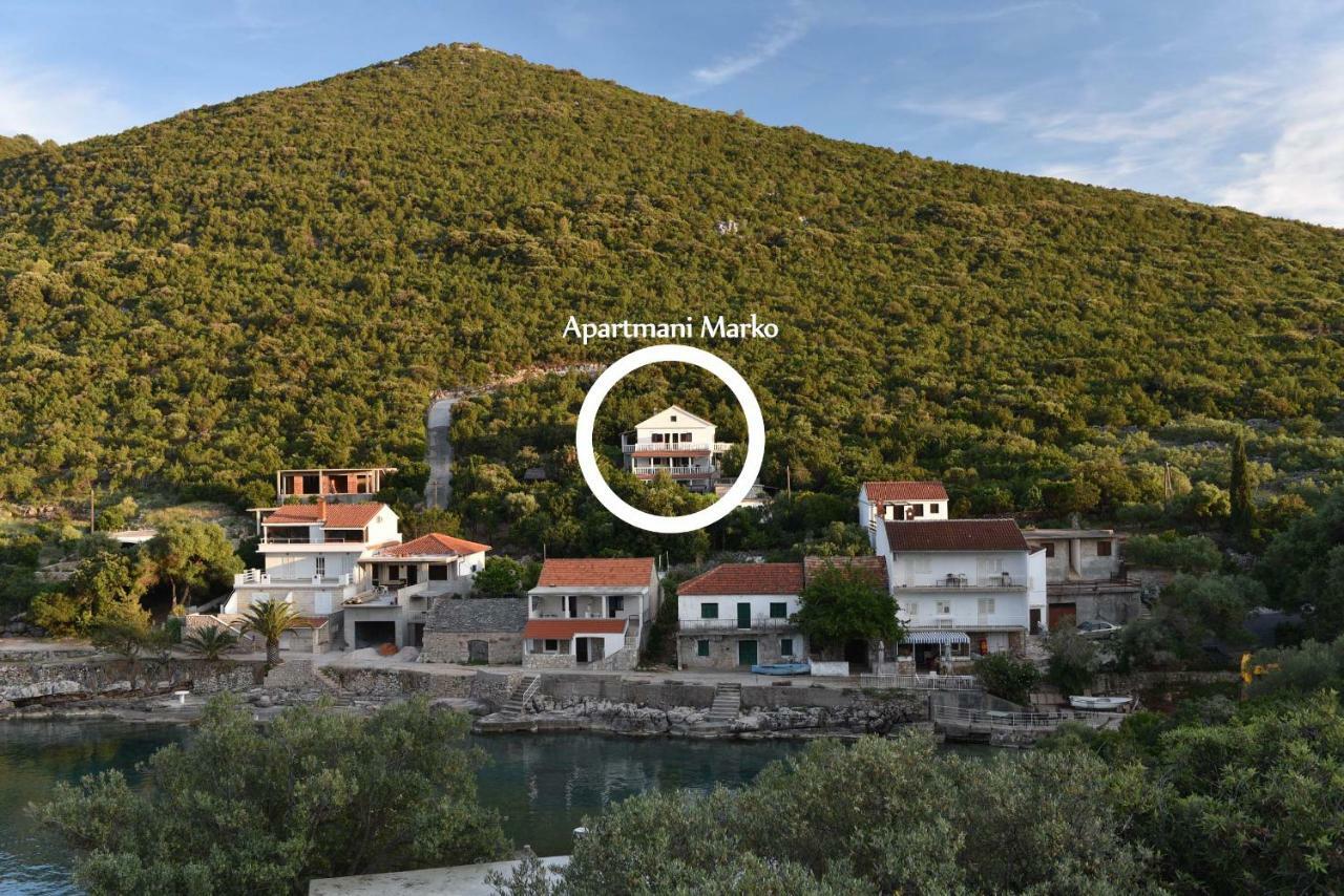 Apartmani Marko Gdinj Εξωτερικό φωτογραφία